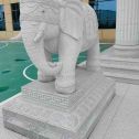 阜新 白麻花岗岩动物异形石雕-大象