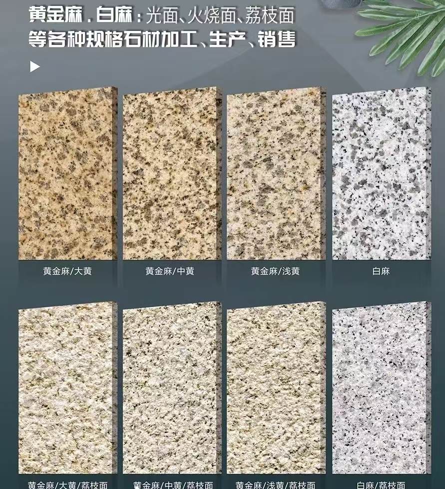 阜新 黄金麻白麻样品展示