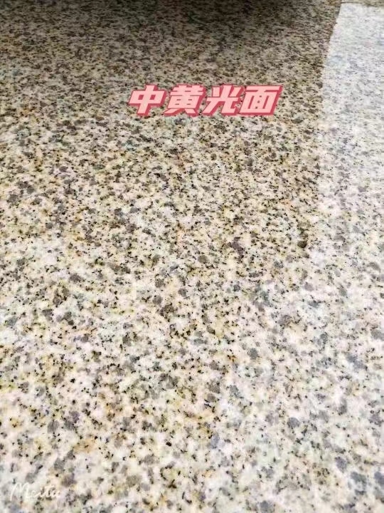 阜新黄金麻中黄光面