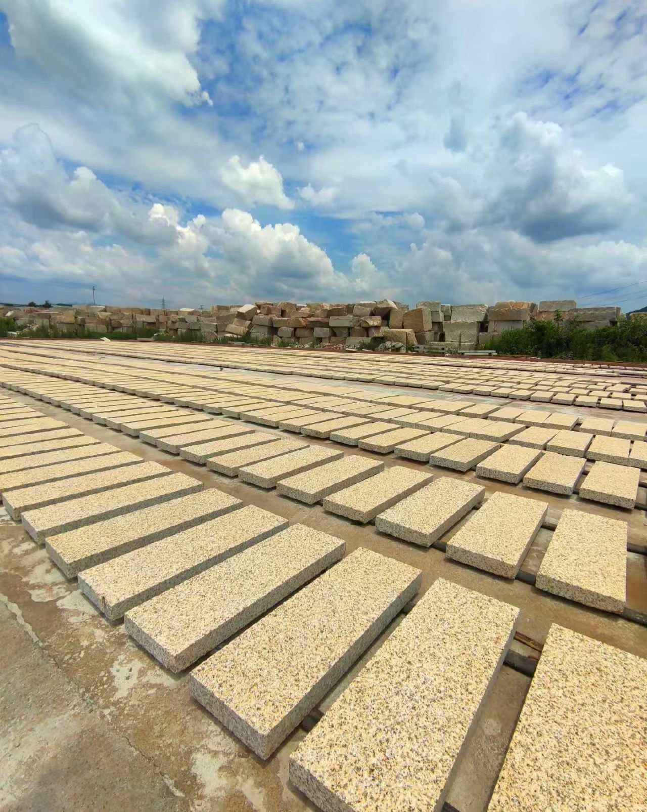 阜新 黄金麻花岗岩荔枝面地铺石防护中